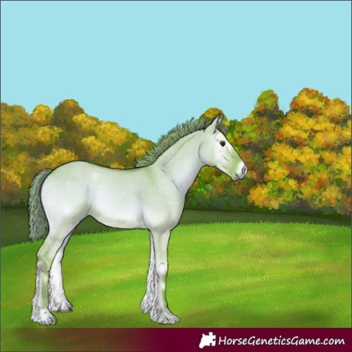 Horse Color:Watercolor Red Dun Onyx 