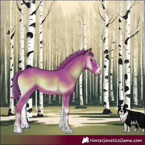 Horse Color:Watercolor Red Onyx 