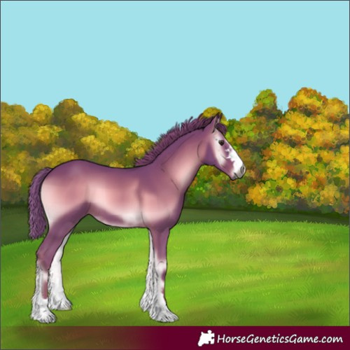 Horse Color:Gray Watercolor Red Onyx