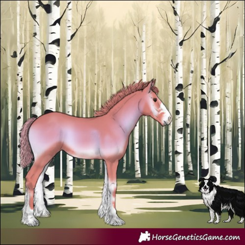Horse Color:Watercolor Red Onyx