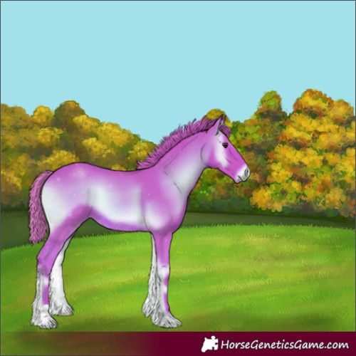Horse Color:Watercolor Red Onyx 