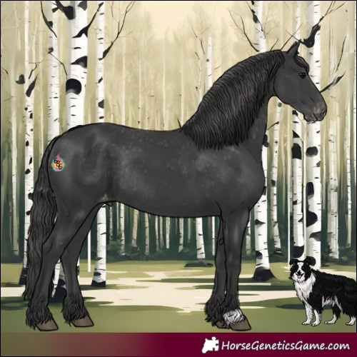 Horse Color:Black Varnish Rabicano 