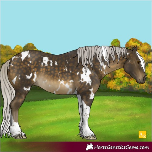 Horse Color:White Spotted Silver Buckskin Tobiano 