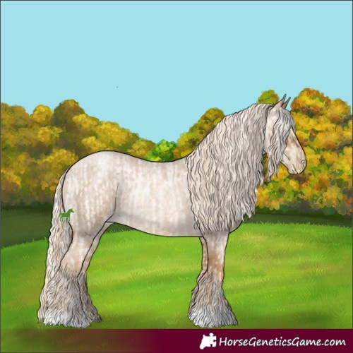 Horse Color:Palomino Roan Pearl and Gray Palomino Roan Pearl