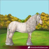 Horse Color:Palomino Roan Pearl  and Gray Palomino Roan Pearl 