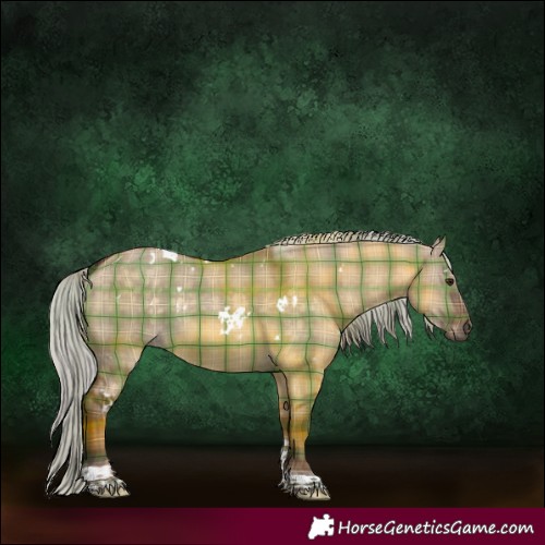 Horse Color:Plaid  White Spotted Silver Brown Dun Tobiano 