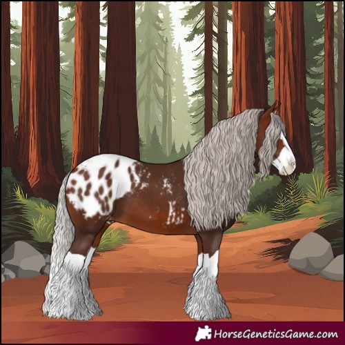 Horse Color:Silver Brown Splash Blanket 