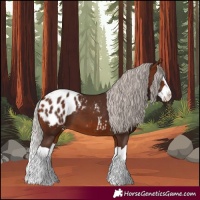 Horse Color:Silver Brown Splash Blanket