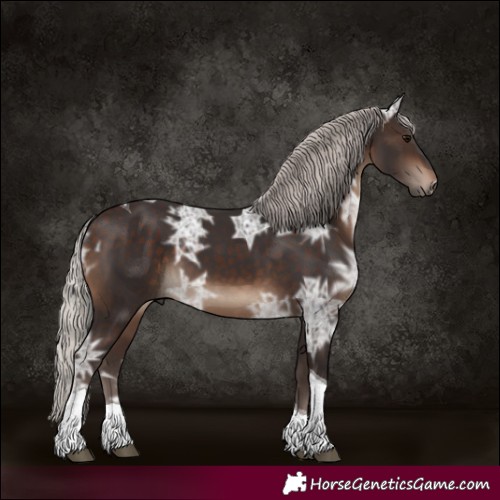 Horse Color:Silver Brown Ice Tobiano 