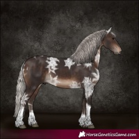 Horse Color:Silver Brown Ice Tobiano 