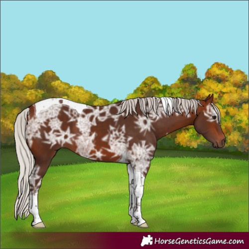 Horse Color:Silver Bay Ice Tobiano 