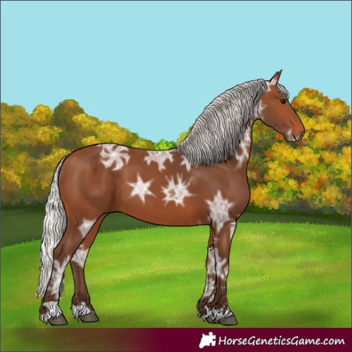 Horse Color:Silver Brown Ice 