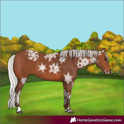 Horse Color:Silver Brown Ice 