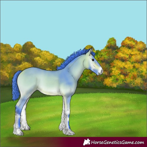 Horse Color:Watercolor Buckskin Onyx
