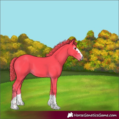 Horse Color:Gray Watercolor Chestnut Varnish