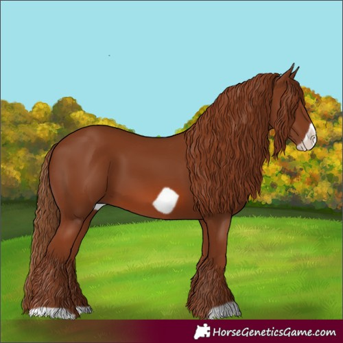 Horse Color:Chestnut Frame 