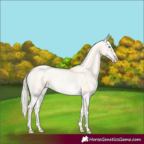 Horse Color:Palomino Roan Pearl  and Palomino Roan Pearl Splash 
