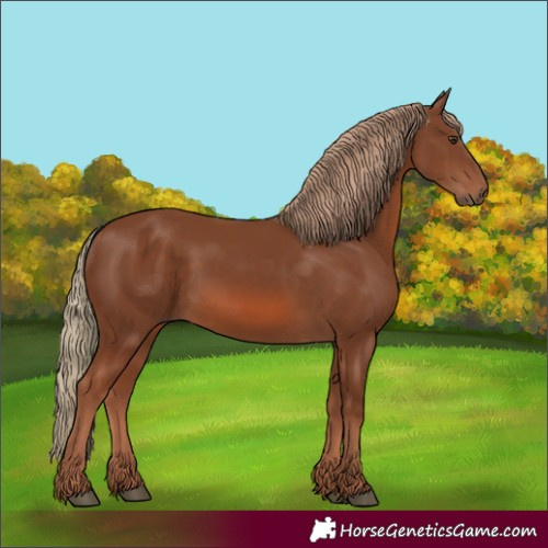 Horse Color:Chestnut 