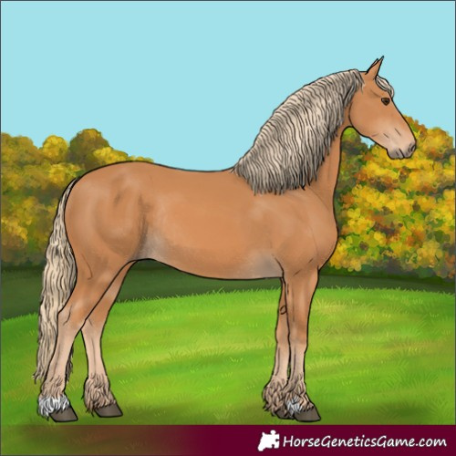 Horse Color:Chestnut Rabicano 