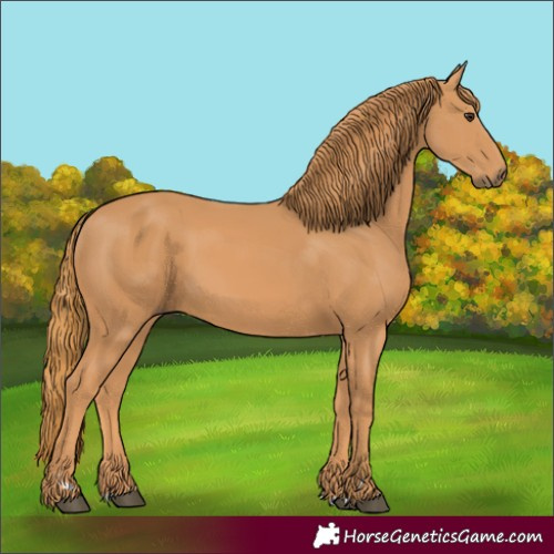 Horse Color:Chestnut Rabicano 