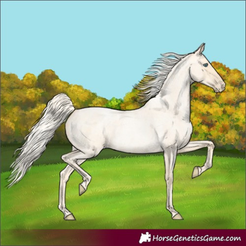 Horse Color:Palomino Roan Pearl  and Palomino Roan Pearl 