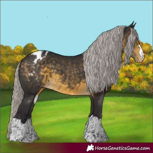 Horse Color:Silver Buckskin Appaloosa 