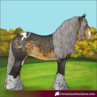 Horse Color:Silver Buckskin Varnish