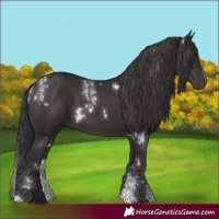 Horse Color:Powder White White Spotted Smoky Black