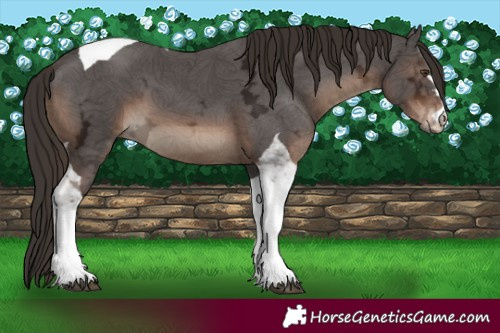 Horse Color:Liver Chestnut Ice Tobiano 