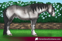 Horse Color:Platinum Brown Ice Onyx