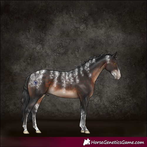 Horse Color:Powder White Brown 