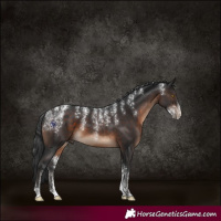 Horse Color:Powder White Brown 