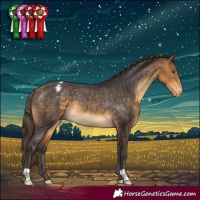 Horse Color:Buckskin Varnish Rabicano 