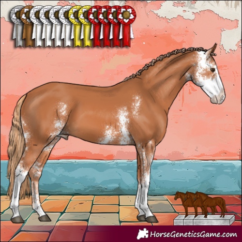 Horse Color:Chestnut Sabino 