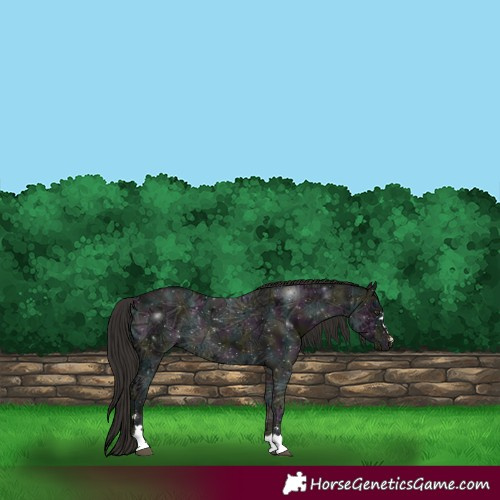 Horse Color:Midnight Liver Chestnut Ice 