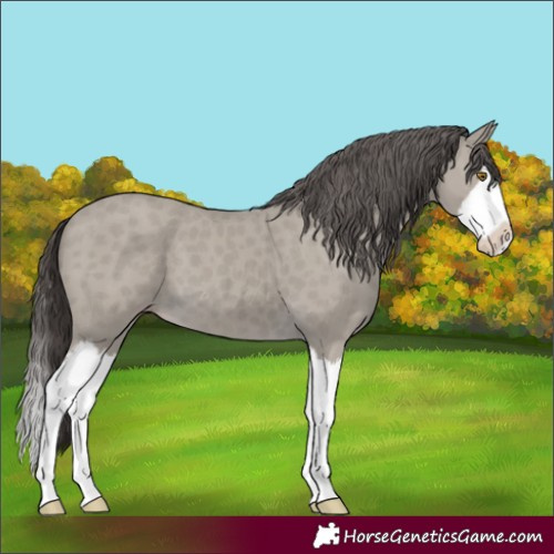 Horse Color:Classic Cream Champagne Splash 