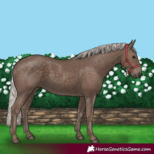 Horse Color:Silver Black 