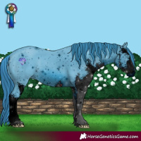 Horse Color:ERROR: UNKNOWN ANOMALY