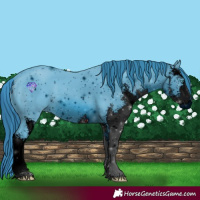 Horse Color:ERROR: UNKNOWN ANOMALY