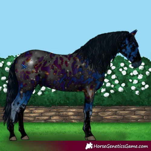 Horse Color:ERROR: UNKNOWN ANOMALY