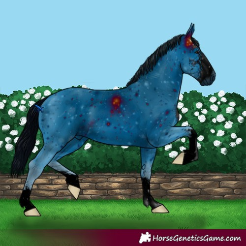 Horse Color:ERROR: UNKNOWN ANOMALY