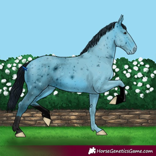 Horse Color:ERROR: UNKNOWN ANOMALY
