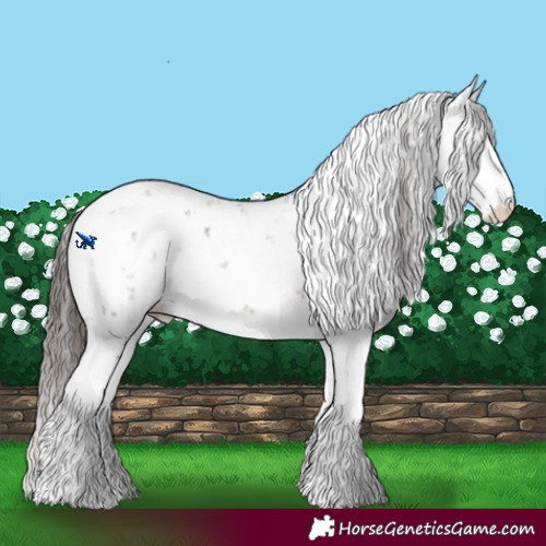 Horse Color:Buckskin Sabino 