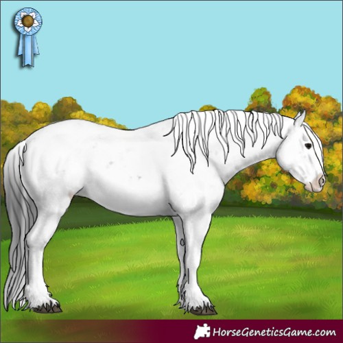 Horse Color:Grullo Sabino Rabicano