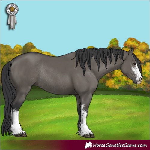 Horse Color:Grullo Sabino Rabicano 