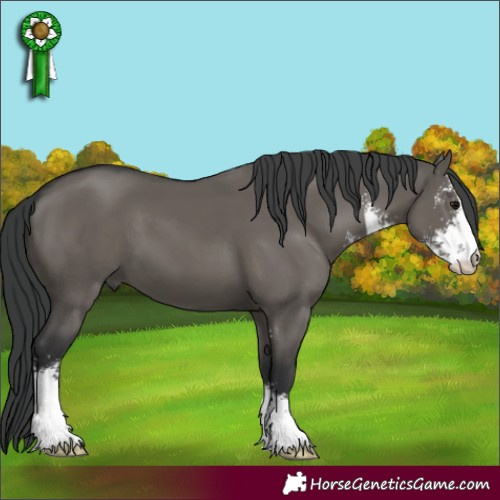 Horse Color:Grullo Sabino 