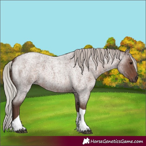 Horse Color:Silver Blue Roan Tobiano