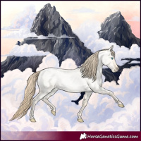 Horse Color:Buckskin Roan Pearl Dun and Buckskin Roan Pearl Dun