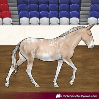 Horse Color:Chocolate Palomino Pearl Tobiano Frame and Chocolate Palomino Pearl Tobiano Frame
