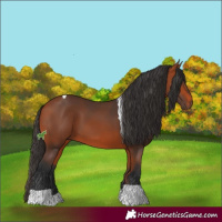 Horse Color:Bay Tobiano 